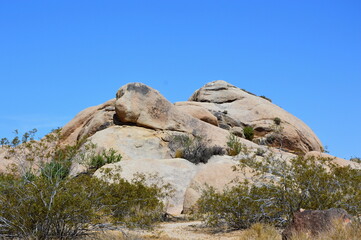 Joshua Tree National park, Kalifornien