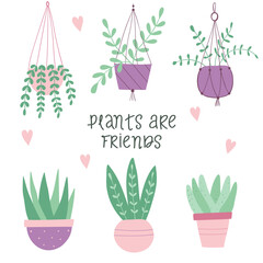 Plants are friends. Set of house plants. Hand drawn illustration in scandinavian style. Flat vector illustration.