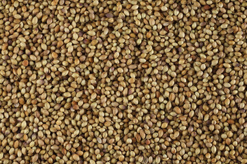 coriander seeds as a texture
