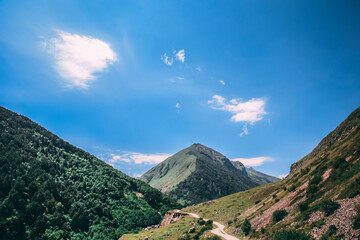 Summer landscape in the mountain with forest