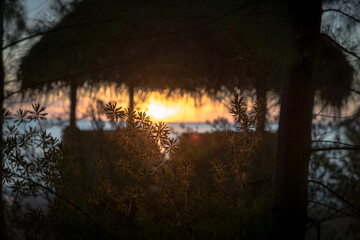 beach hut sunset
