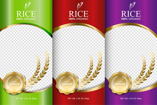 Rice food or thai food, banner and poster template vector design.