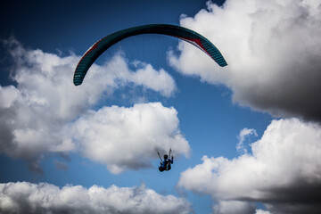 Paraglider