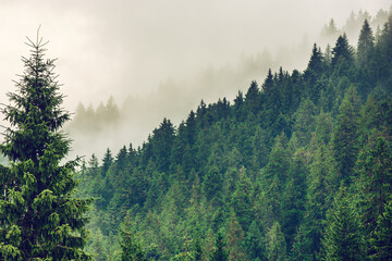 Misty mountain landscape