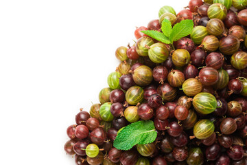 Gooseberry isolated on white background. Top view.