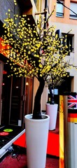 Stile restaurant