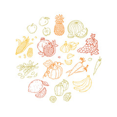 Hand Drawn doodle Fruits and vegetables vector set
