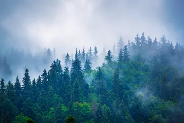 Fototapete Rund Nebelhafte Berglandschaft © Roxana