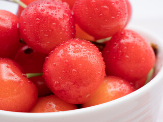 白い陶器製ボールに山盛りのサクランボ。サクランボの表面には水滴