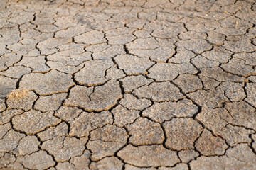 The ground is dry because of lack of water.
