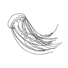 Jellyfish vector illustration, isolated on white background
