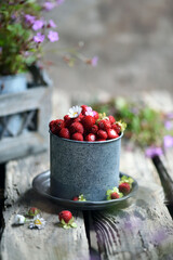 Fruit of a mock strawberry, Duchesnea indica, Strawberries in Small White Bucket Board on Light Background,