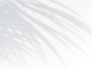 3d illustration of shadow on white stucco wall 