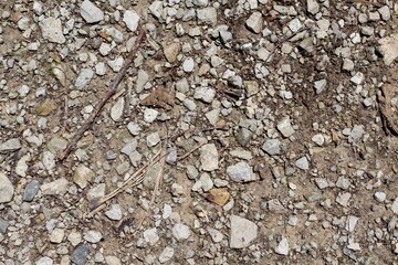 A close view on the rocks and pebbles on the gravel surface.