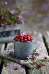 Fruit of a mock strawberry, Duchesnea indica, Strawberries in Small White Bucket Board on Light Background,