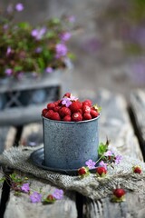 Fruit of a mock strawberry, Duchesnea indica, Strawberries in Small White Bucket Board on Light Background,