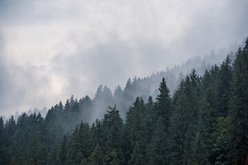 Misty mountain landscape