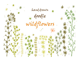 Floral frame. Hand drawn doodle Wild Flowers. Floral Set - Vector illustration. Floral background. Wildflowers. Flowers. Green Grass. Invitation card template
