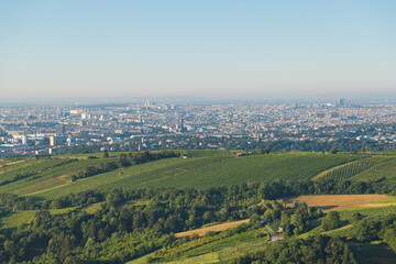Scenic view over the City of Vienna and the vine yards and hills of Vienna Woods from Leopoldsberg in the morning.