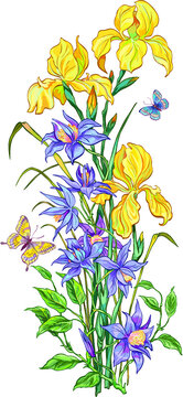 Vector vertical composition of yellow irises and clematis