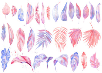 Pink, coral, lilac tropical leaves, exotic plants. Watercolor painting. Perfect for wedding, invitations 