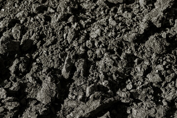 fertile black earth background