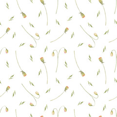 Seamless pattern of watercolor poppies on a white background. Use for design invitations, birthdays, weddings.