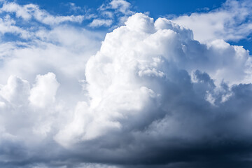 Naklejka na ściany i meble White cumulus clouds floating on a blue sky