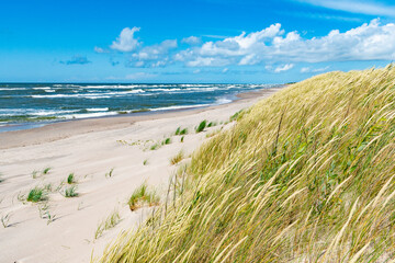 Fototapeta na wymiar Beautiful sand beach with dry and green grass, reeds, stalks blowing in the wind, blue sea with waves on the Baltic Sea 