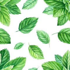 Seamless patterns mint, watercolor painting, on isolated background