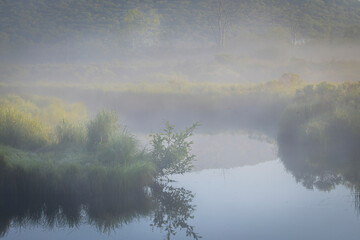 JayOBrien/JaynesGallery/DantaDelimont.com