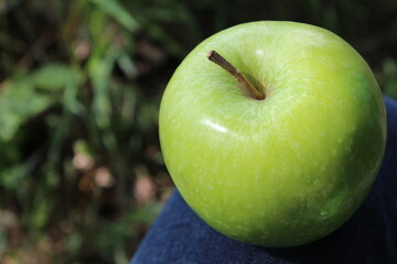 Grüner Apfel im Wald