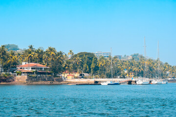 beautiful apartments between the coconut trees near the beachside.