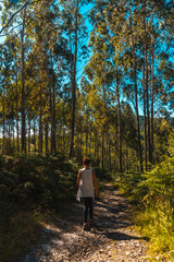 Fototapeta premium Strolling along the path between trees of the Listorreta natural park in the town of Errenteria in the park of the Peñas de Aya or Aiako Harria park. Gipuzkoa, Basque Country. In summer