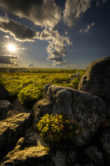 JayOBrien/JaynesGallery/DantaDelimont.com