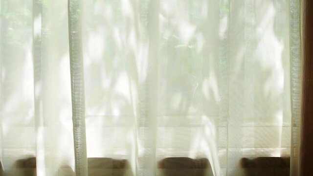 カーテンに映る、風に揺れる木漏れ日の影