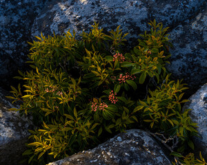 JayOBrien/JaynesGallery/DantaDelimont.com