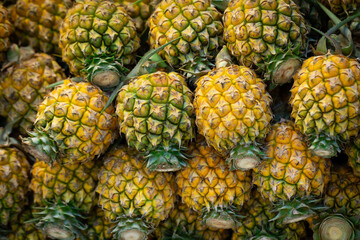 A pile of sweet yellow pineapples on the market in Thailand.