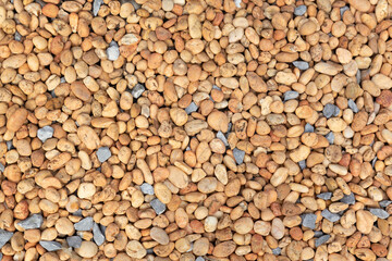 Multi colored round gravel for background. The yellow river rock wallpaper.