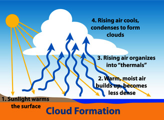 Cloud formation science diagram. How clouds form as sunlight warms the ground, air rises and condenses.