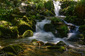 Fototapeta na wymiar Small waterfall in a forest of Belledonne
