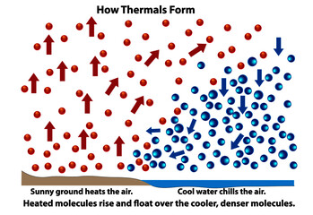 How thermals form. Science diagram showing how molecules react during heating and cooling over land or water.