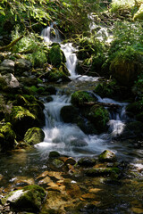 Small waterfall in a forest of Belledonne