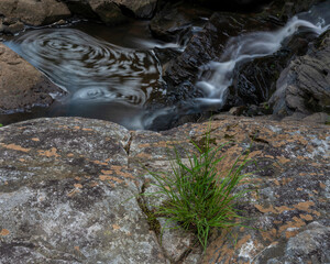 JayOBrien/JaynesGallery/DantaDelimont.com