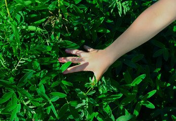 Fototapeta premium close-up - the boy's hand, dirty from picking berries, on the green grass in the forest, shadows fall on the hand from the grass