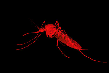 Mosquito Red Danger Concept - Encephalitis, Yellow Fever, Malaria Disease, Mayaro or Zika Virus Infected Parasite Insect Isolated on Black Background