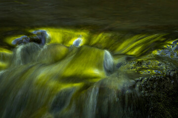 JayOBrien/JaynesGallery/DantaDelimont.com