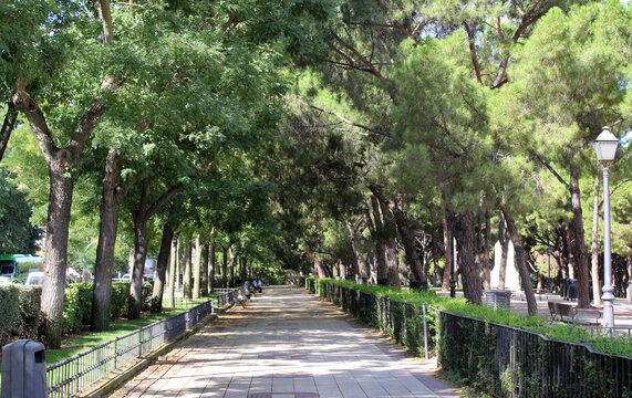 Parque Del Oeste, Madrid, Spain.