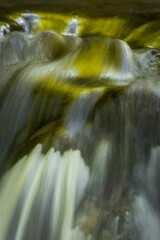 JayOBrien/JaynesGallery/DantaDelimont.com