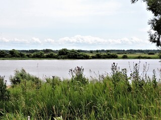 summer landscape with lake, Novgorod, Russia